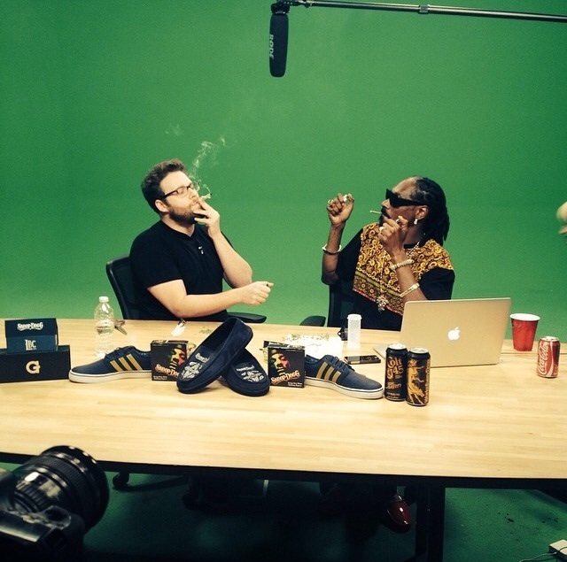 Snoop Dogg and Seth Rogen smoked weed in front of a green screen. The Internet couldn't resist.