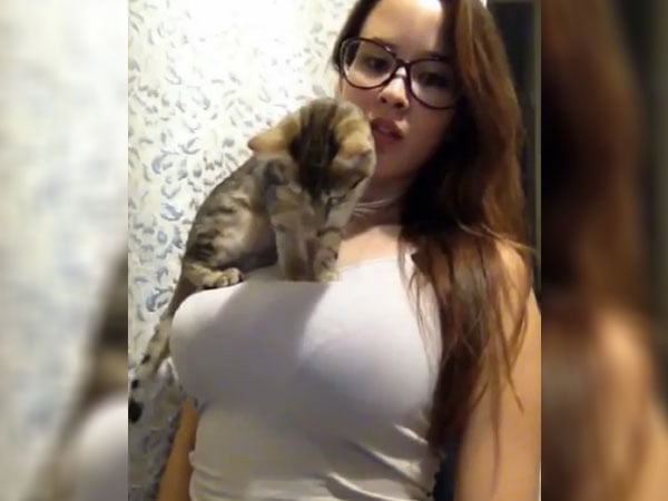 Cat On Boob 71