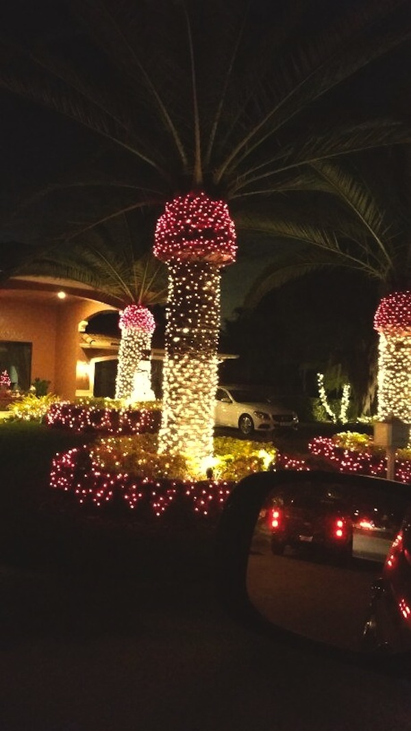 15 merrily inappropriate Christmas decorations ...