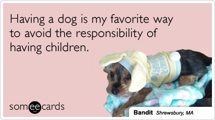 someecards.com - Having a dog is my favorite way to avoid the responsibility of having children.
