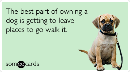 someecards.com - The best part of owning a dog is getting to leave places to go walk it.