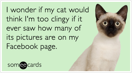 someecards.com - I wonder if my cat would think I'm too clingy if it ever saw how many of its pictures are on my Facebook page.