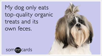 organic-treats-dog-pet-dogs-pets-ecards-