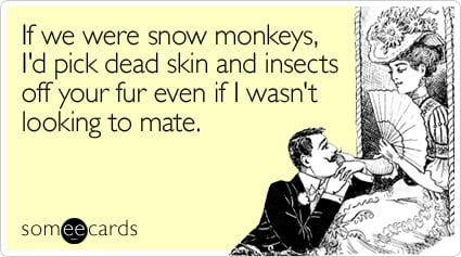 If we were snow monkeys, I'd pick dead skin and insects off your fur even if I wasn't looking to mate.