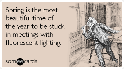 someecards.com - Spring is the most beautiful time of the year to be stuck in meetings with fluorescent lighting