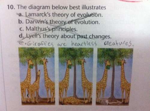 7 new unintentionally inappropriate test answers from young children.