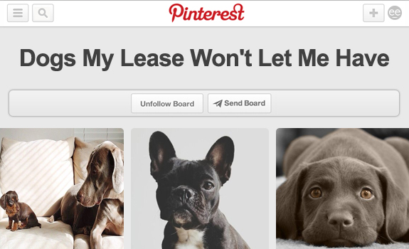 15 More Honest Titles For Every Pinterest Board You've Ever Seen