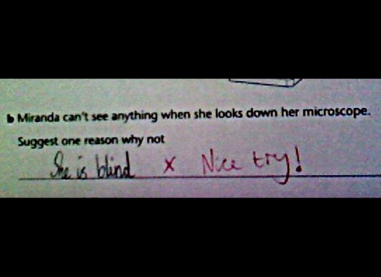 7 new unintentionally inappropriate test answers from young children.