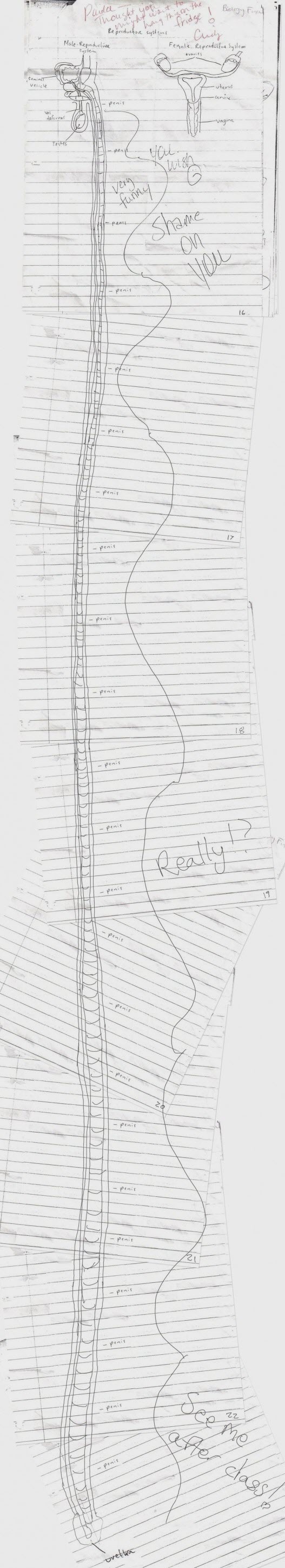 7 new unintentionally inappropriate test answers from young children.