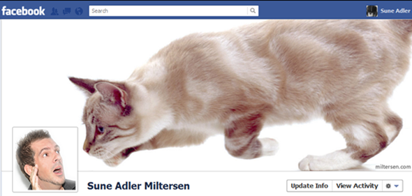 More of the most creatively designed Facebook Timeline profiles.
