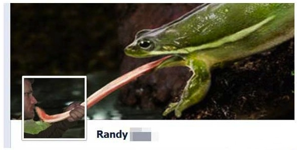 More of the most creatively designed Facebook Timeline profiles.