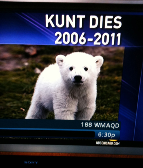 Our 40 favorite spelling errors of all time.