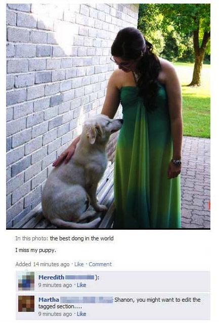 Our 40 favorite spelling errors of all time.