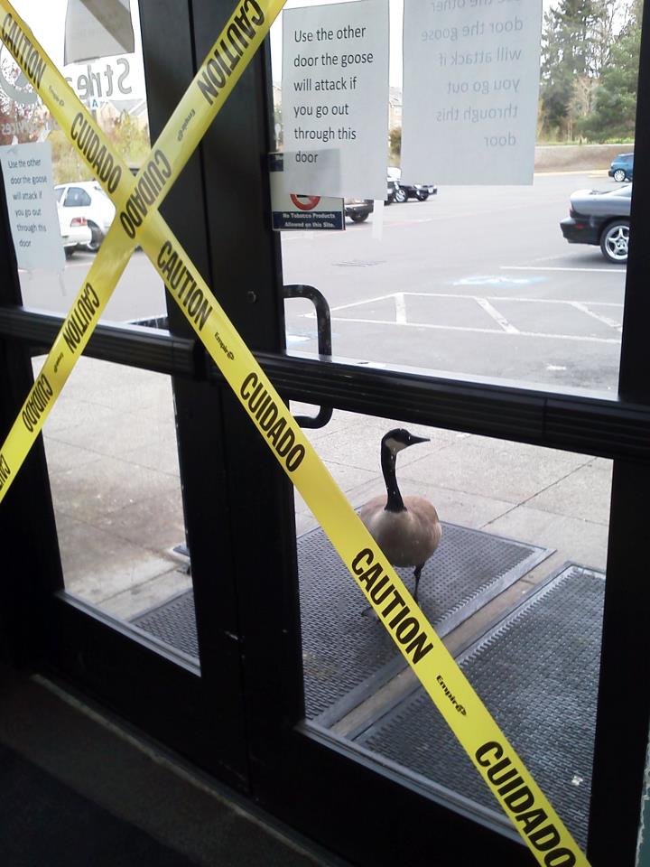 A workplace safety notice stranger than anything presently hanging in your office.