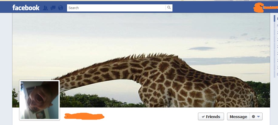 More of the most creatively designed Facebook Timeline profiles.