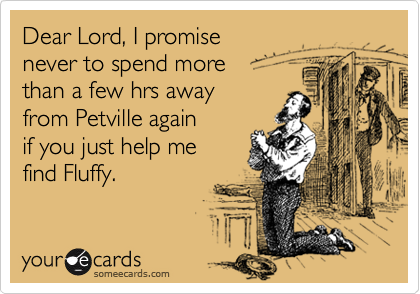 Dear Lord, I promise
never to spend more
than a few hrs away
from Petville again
if you just help me
find Fluffy.