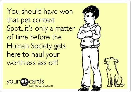 You should have won
that pet contest
Spot...it's only a matter
of time before the
Human Society gets
here to haul your
worthless ass off!