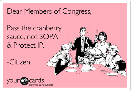 someecards.com - Dear Members of Congress, Pass the cranberry sauce, not SOPA & Protect IP. -Citizen