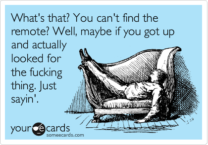 What's that? You can't find the remote? Well, maybe if you got up and actually
looked for
the fucking
thing. Just
sayin'.