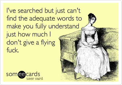 I've searched but just can't
find the adequate words to
make you fully understand
just how much I
don't give a flying
fuck.