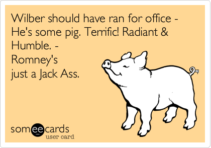 Wilber should have ran for office - He's some pig. Terrific! Radiant & Humble. -
Romney's
just a Jack Ass.