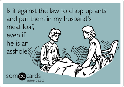 Is it against the law to chop up ants and put them in my husband's
meat loaf,
even if
he is an
asshole?