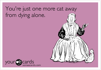 someecards.com - You're just one more cat away from dying alone.