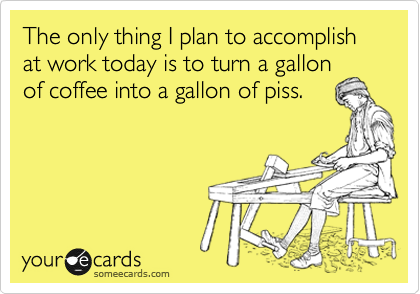 someecards.com - The only thing I plan to accomplish at work today is to turn a gallon of coffee into gallon of piss.