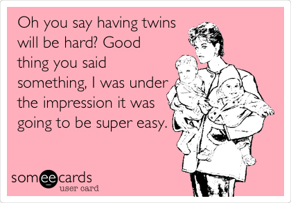 Oh you say having twins
will be hard? Good
thing you said
something, I was under
the impression it was
going to be super easy.
