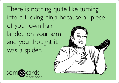 There is nothing quite like turning
into a fucking ninja because a piece
of your own hair
landed on your arm
and you thought it
was a spider.