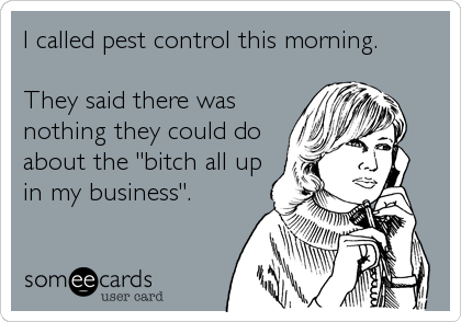 I called pest control this morning.
They said there was
nothing they could do
about the "bitch all up
in my business".