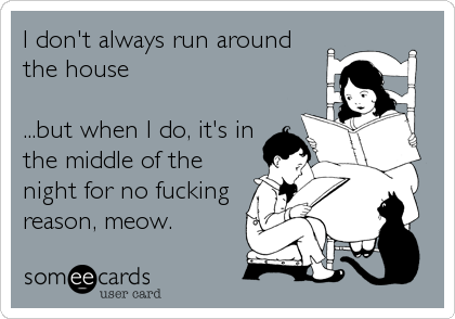 I don't always run around
the house
...but when I do, it's in
the middle of the
night for no fucking
reason, meow.