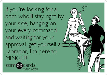 If you're looking for a
bitch who'll stay right by
your side, hanging on
your every command
and waiting for your
approval, get yourself a
Labrador, I'm here to
MINGLE!