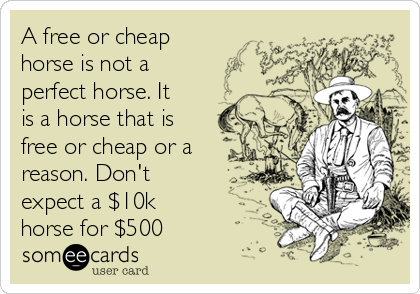 A free or cheap
horse is not a
perfect horse. It
is a horse that is
free or cheap or a
reason. Don't
expect a $10k
horse for $500