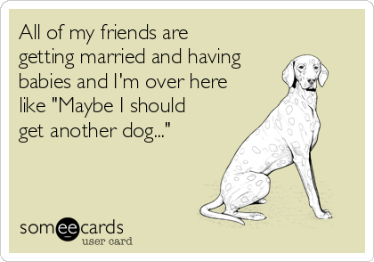 All of my friends are
getting married and having
babies and I'm over here
like "Maybe I should
get another dog..."