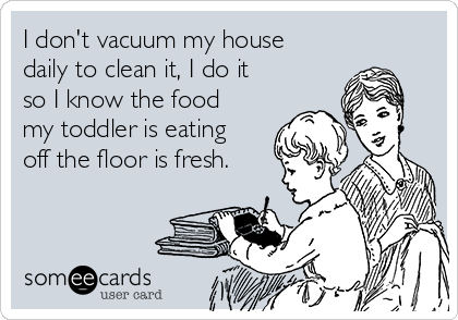 i-dont-vacuum-my-house-daily-to-clean-it