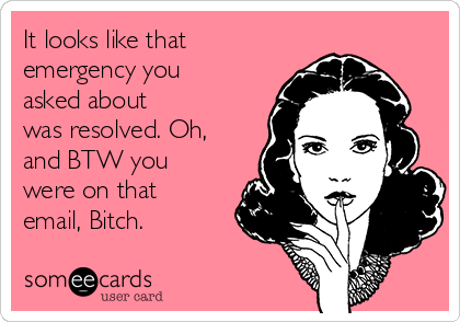 It looks like that
emergency you
asked about
was resolved. Oh,
and BTW you
were on that
email, Bitch.
