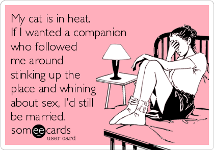 My cat is in heat.
If I wanted a companion
who followed
me around
stinking up the
place and whining
about sex, I'd still
be married.
