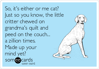 So, it's either or me cat?
Just so you know, the little
critter chewed on
grandma's quilt and
peed on the couch...
a zillion times.
Made up your
mind yet?