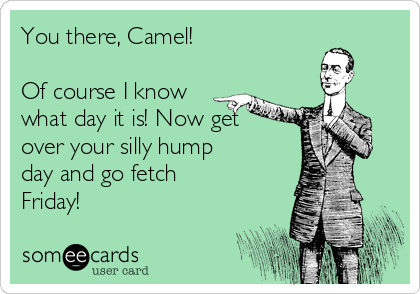 you-there-camel-of-course-i-know-what-day-it-is-now-get-over-your-silly-hump-day-and-go-fetch-friday-99aec.png