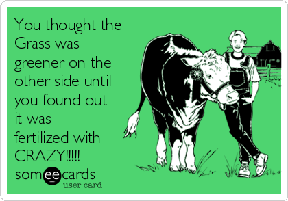 You thought the
Grass was
greener on the
other side until
you found out
it was
fertilized with
CRAZY!!!!!