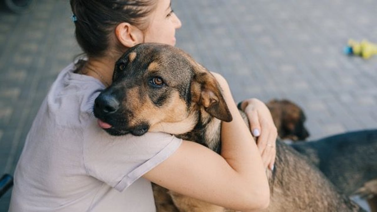 Woman lets dog run free in garden, neighbor says, 'this is triggering my phobia.'