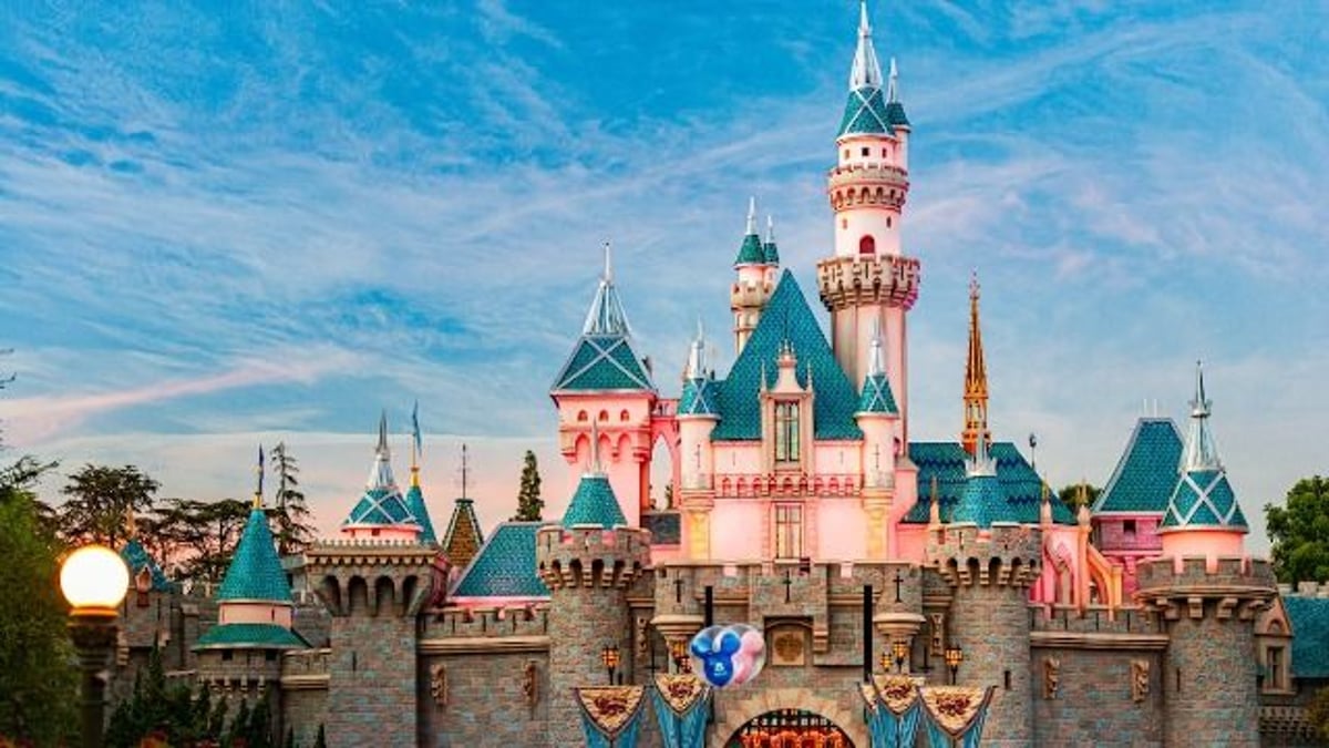 'AITA for taking my 1 year old to Disneyland without my partner out of spite?'