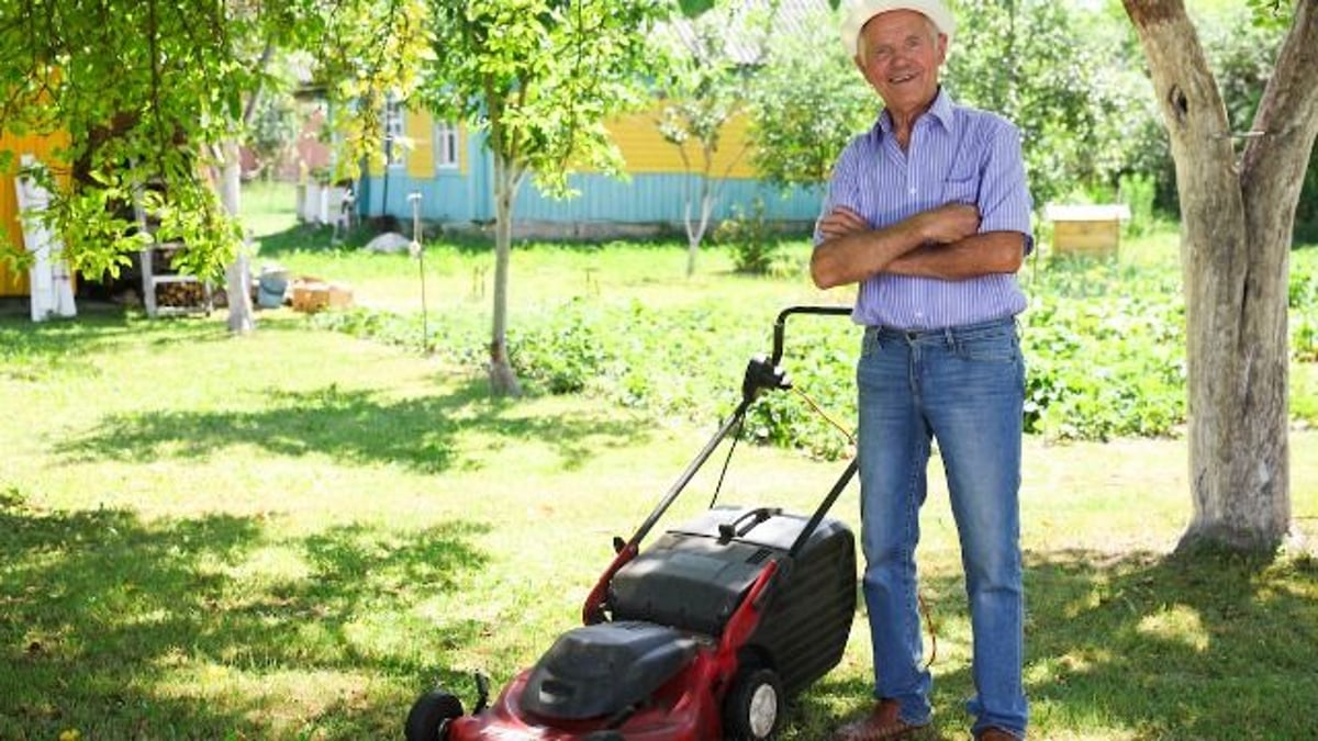 Man's petty revenge against prankster lawn menace becomes unexpected friendship.