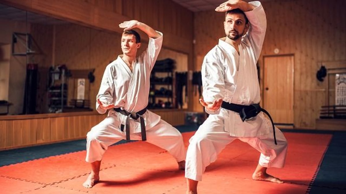 Mom asks if she was wrong to stop funding sons' dojo after they banned girls.