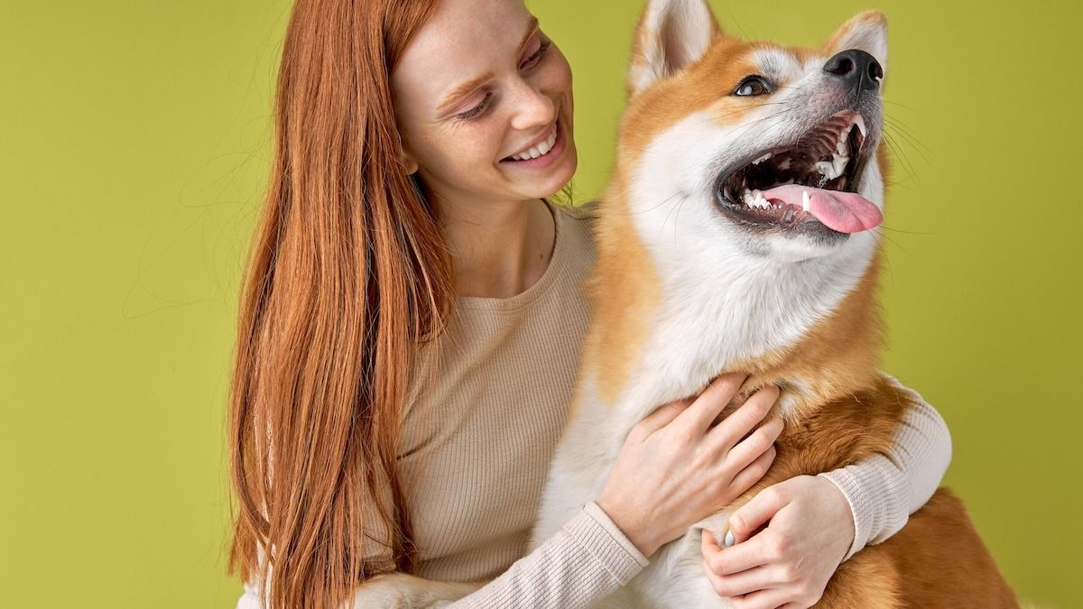 'Our dog is suddenly very attached to wife and won’t leave her alone. It's concerning.' UPDATED