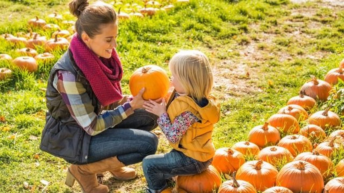 Pumpkin patch fight tears family apart; MIL says, 'you've ruined my only tradition.'