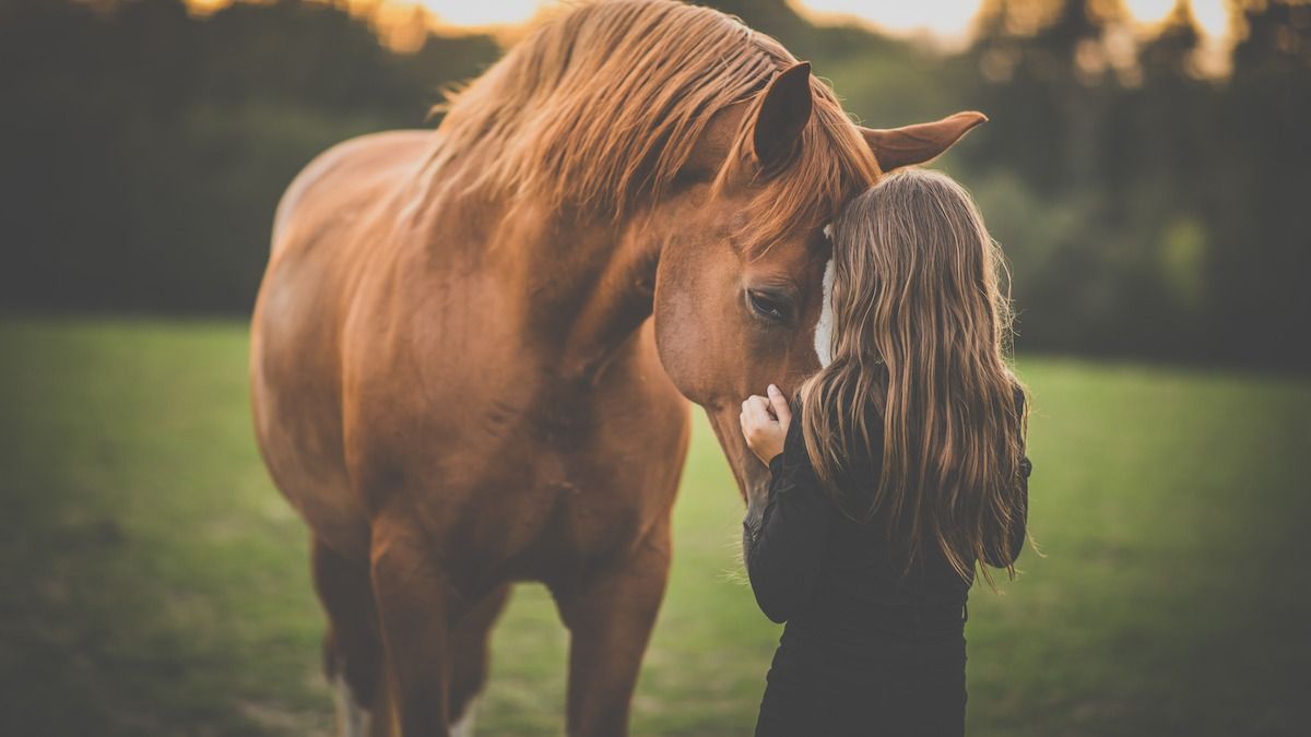 Mom told she is 'disgustingly showing off' by letting daughter ride horse to school. AITA?