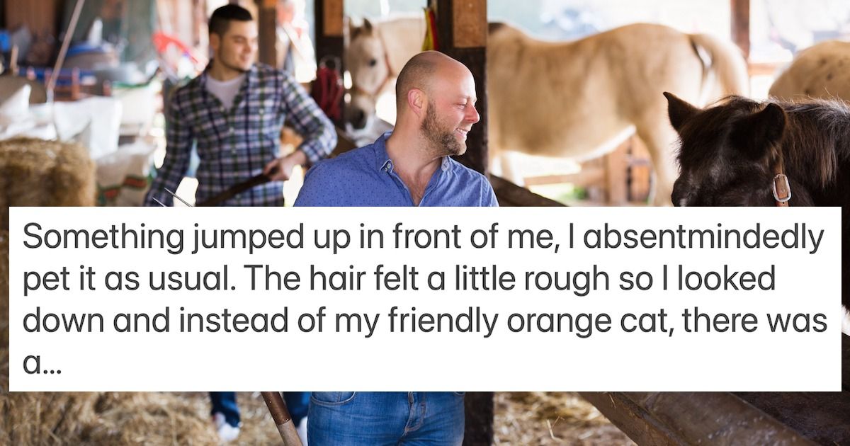 16 people share the most bizarre 'brain autopilot misfire' they've ever