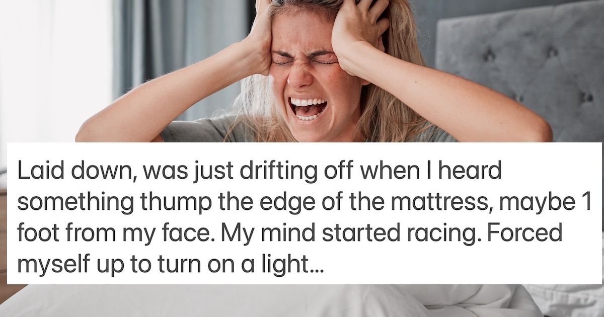 17 People Share The Scariest Thing Theyve Ever Woken Up To Someecards Scary 